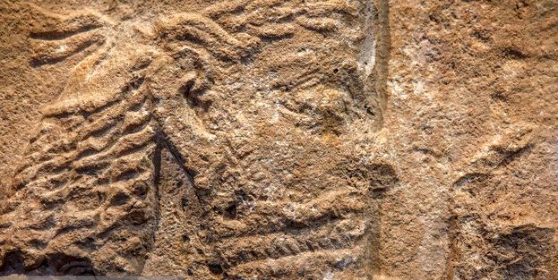 ملاقات با نجیب‌زاده ساسانی در تهران