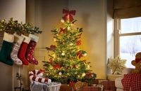 درخت کریسمس از کجا آمد؟ تاریخچه، نمادها و آداب تزیین این سنت جهانی