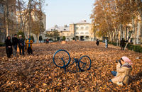 بهترین نقاط تهران برای عکاسی از پاییز