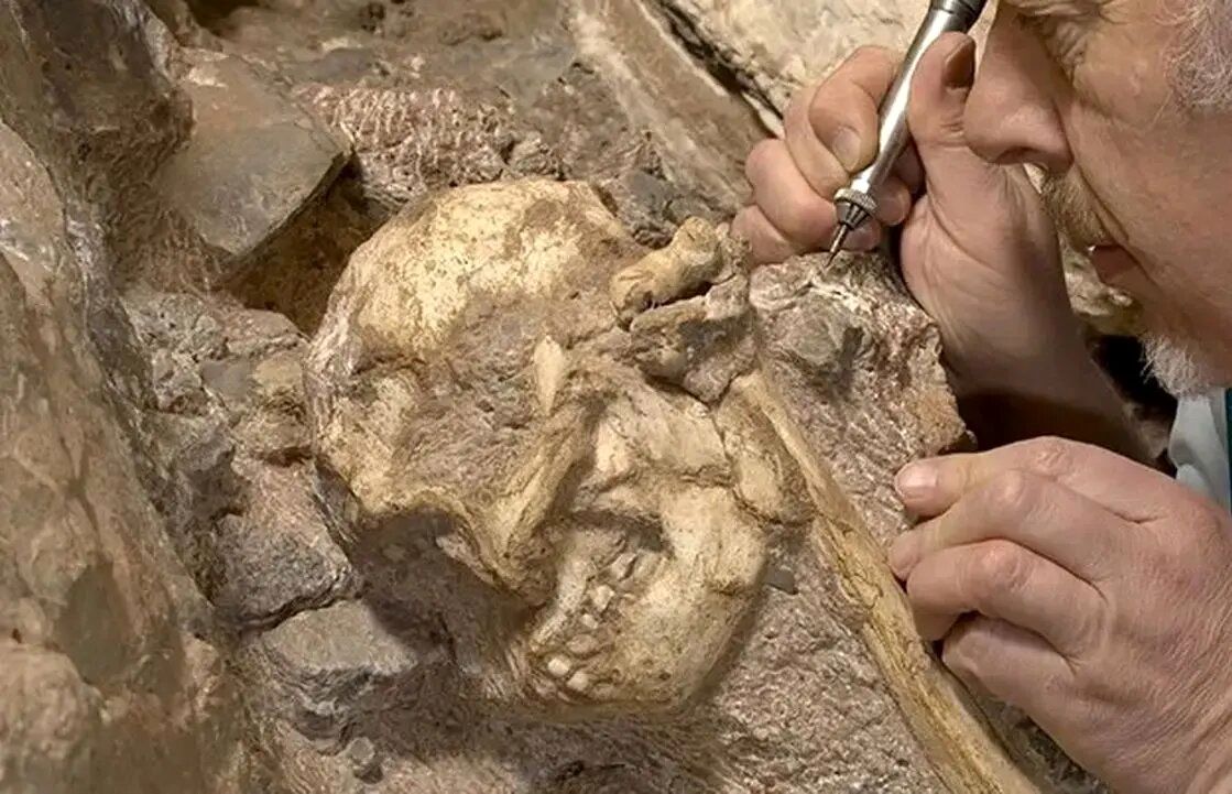 خویشاوند ۳ میلیون سالۀ انسان از دل سنگ بیرون آمد