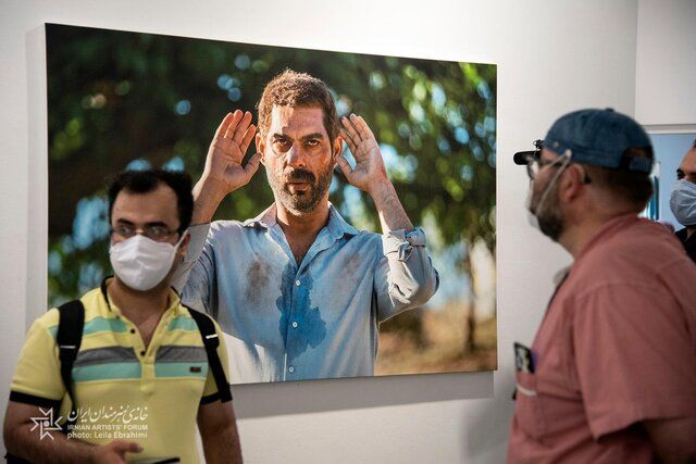 «درخت گردو» تماشایی شد