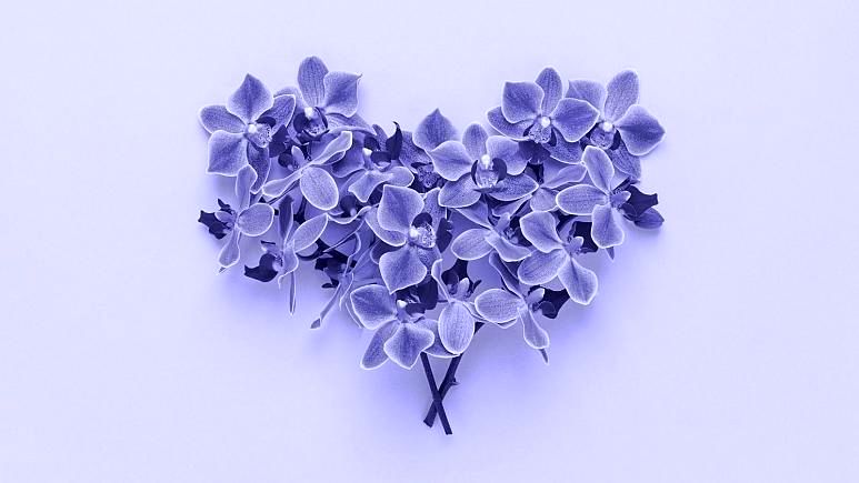 رنگ سال ۲۰۲۲ چیست و دلیل انتخاب آن چه بوده است؟