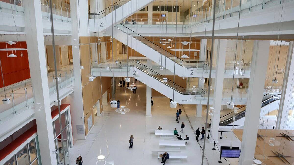 ۴ ماه زندان برای زنی که موهای دخترش را به زور تراشید