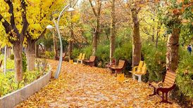 راهنمای پاییزگردی یک‌روزه در تهران
