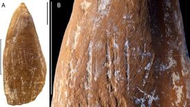 نئاندرتال‌ها مدادشمعی داشتند؟
