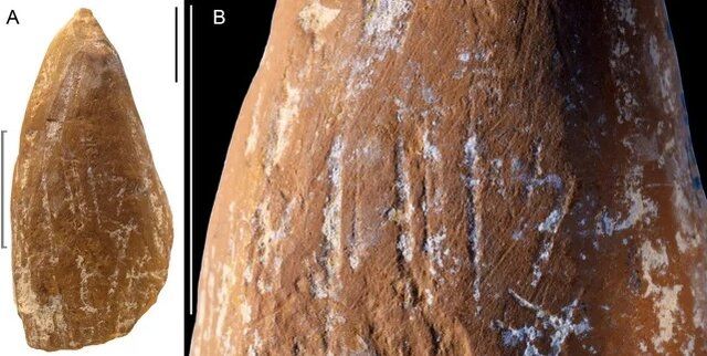 نئاندرتال‌ها مدادشمعی داشتند؟
