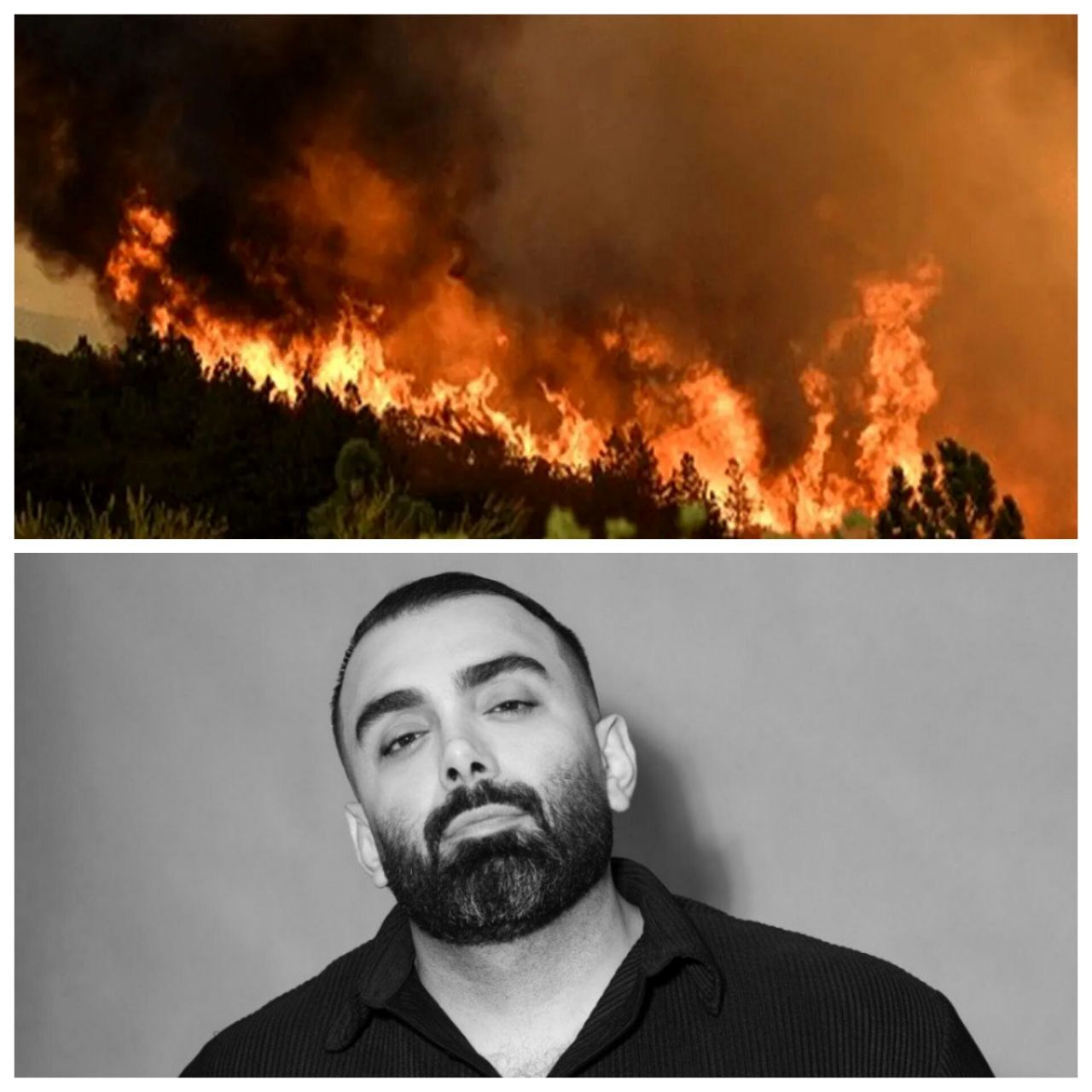 مسعود صادقلو: جنگل‌های کشور می‌سوزد؛ خواهشمندم مسئولان کاری کنند